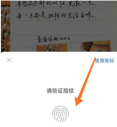 2020支付宝年度账单在哪看