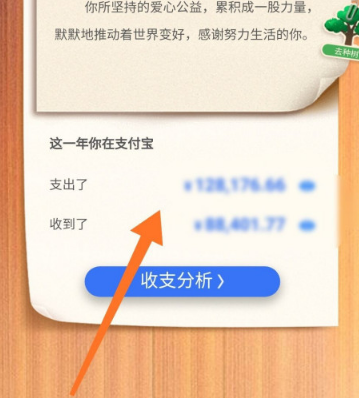 2020支付宝年度账单在哪看