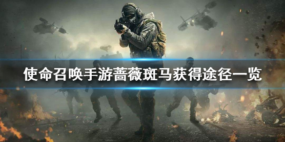 使命召唤手游蔷薇斑马在哪里领