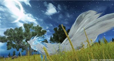 妄想山海飞雪尾巴有什么用