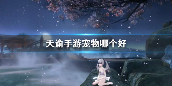 天谕手游哪个宠物最有用