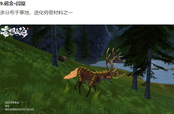 妄想山海陆地坐骑哪些好