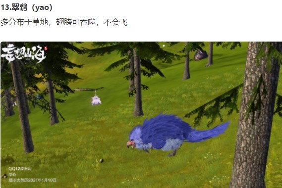 妄想山海陆地坐骑选哪个