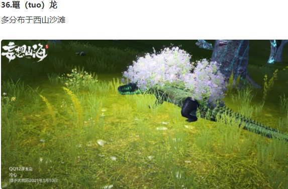 妄想山海坐骑在哪抓