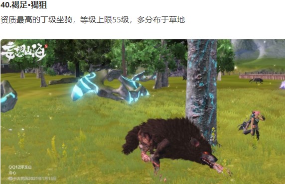 妄想山海坐骑在哪抓