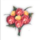 妄想山海春色知心花束怎么得