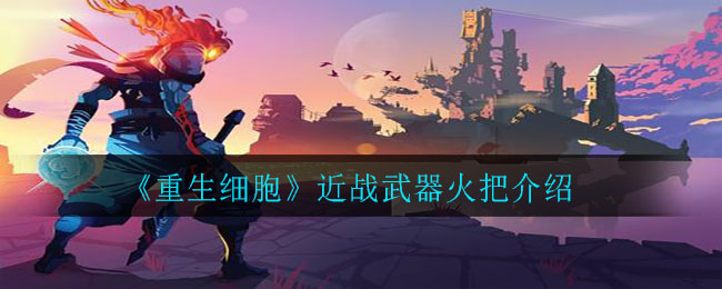 重生细胞火把厉害吗