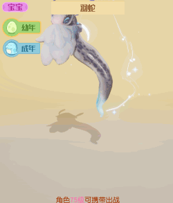 梦想新大陆什么宠物好
