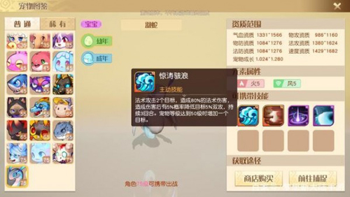 梦想新大陆什么宠物好