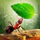 小蚂蚁部落 v2.5