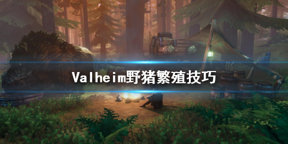 英灵神殿野猪怎么繁殖
