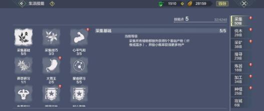 妄想山海清蒸脑花怎么做