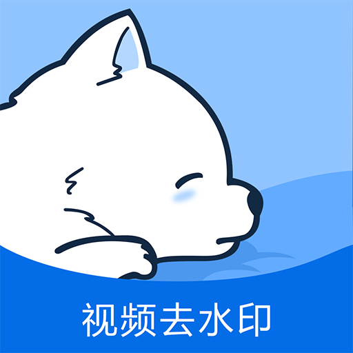 视频去水印专家 v1.4