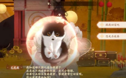 忘川风华录猫咪怎么得