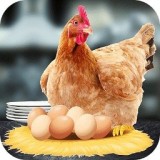 母鸡护蛋模拟器 v1.0.7