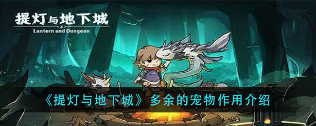 提灯与地下城多余的宠物有什么用