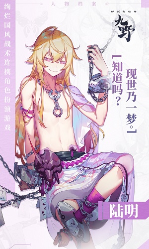 仙剑奇侠传九野陆明厉害吗