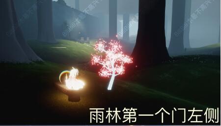 光遇花之日活动彩蛋樱花树在哪