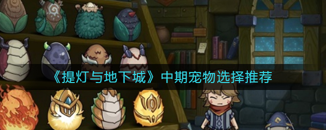 提灯与地下城中期宠物怎么选