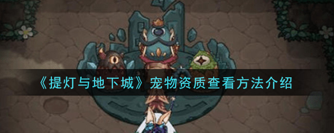 提灯与地下城宠物资质怎么查看