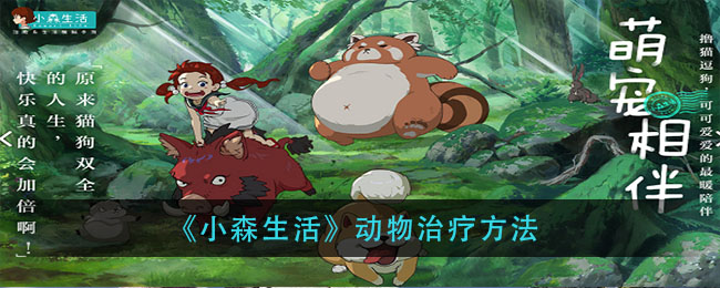 小森生活动物怎么治疗
