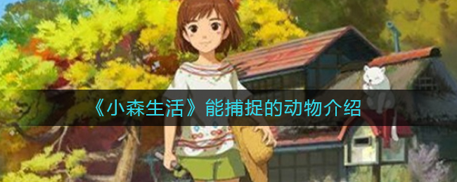 小森生活有哪些动物可以捉