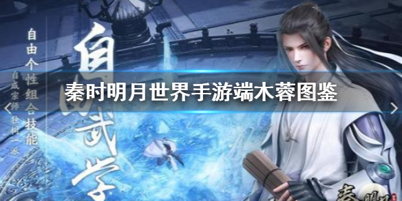 秦时明月世界端木蓉怎么样