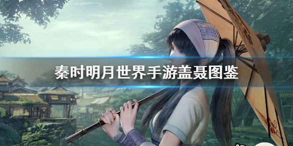 秦时明月世界盖聂怎么样
