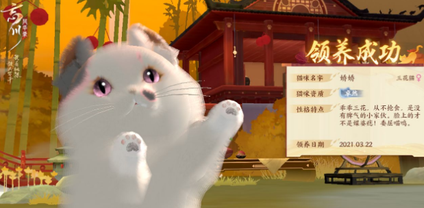 忘川风华录猫的外观码有哪些