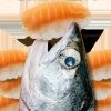 鲑鱼吃寿司 v1.0.8