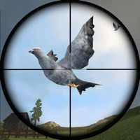 鸽子狩猎苹果版 v1.1