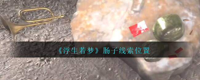 孙美琪疑案浮生若梦肠子线索在哪