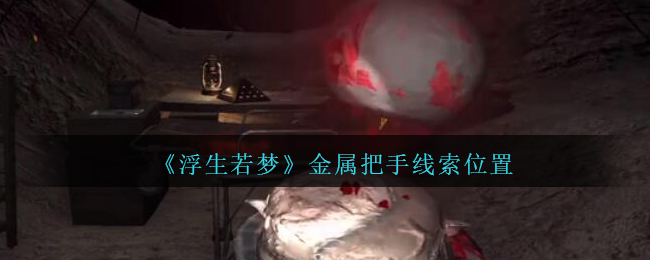 孙美琪疑案浮生若梦金属把手线索怎么得