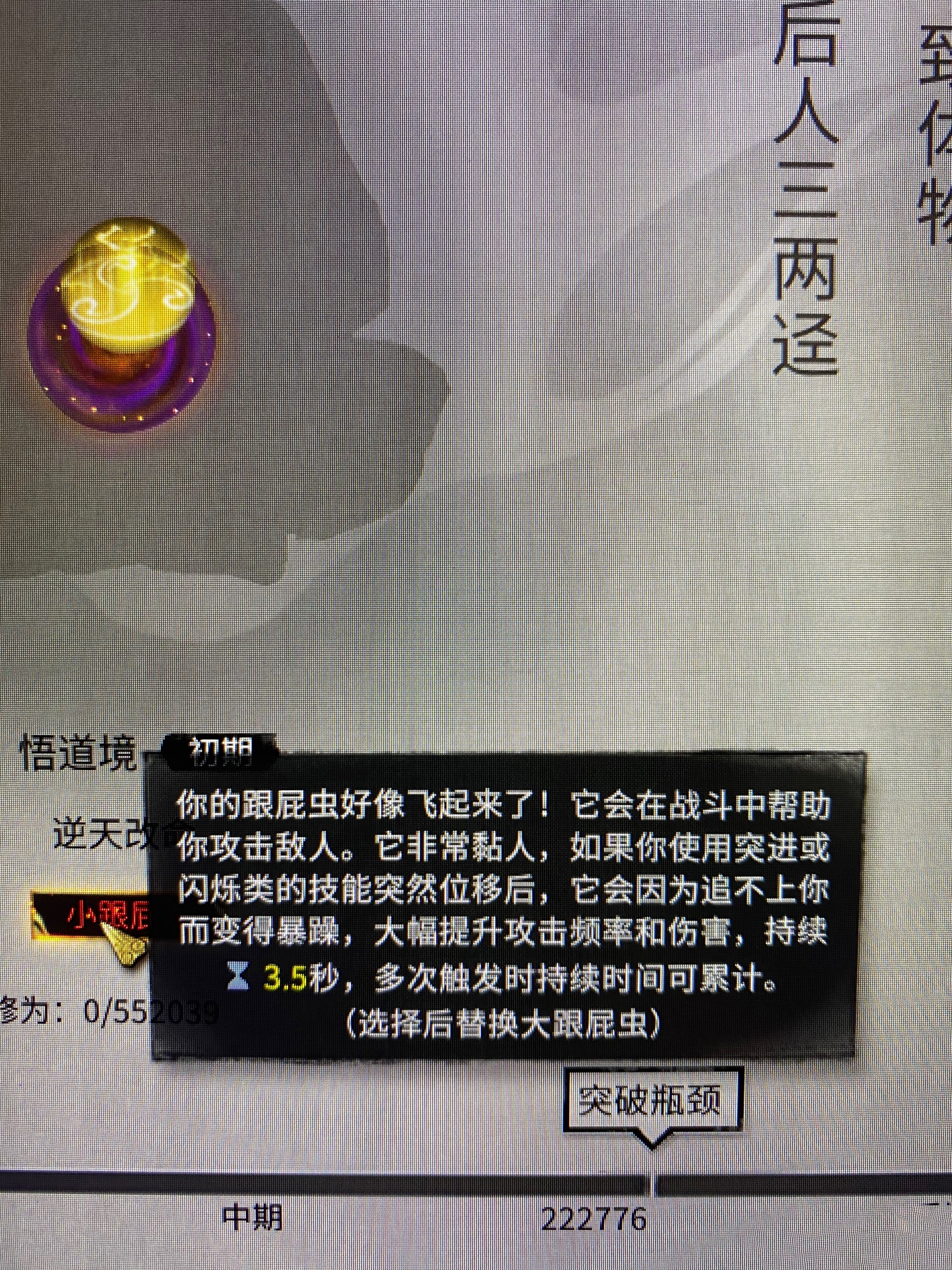 鬼谷八荒小跟屁龙怎么样