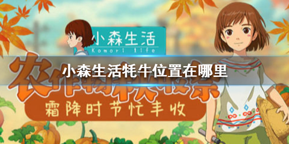 小森生活牦牛在哪