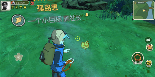 小森生活金鸡怎么得