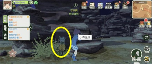 小森生活菠萝怎么得
