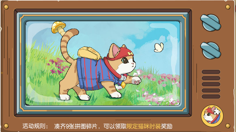 小森生活猫咪选美活动怎么参加