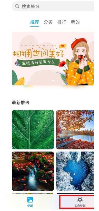 华为mate40动态桌面怎么设置