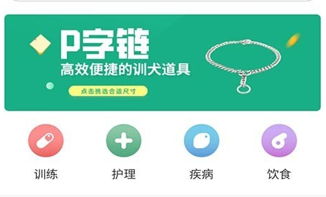 宠物训养小课堂