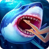 狩猎鲨鱼模拟器 v1.0.7
