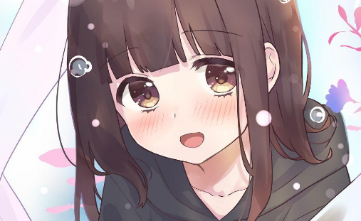 胡桃日记洋果子多少钱