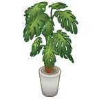 胡桃日记绿色装饰植物多少钱