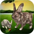 终极兔子模拟器 v1.7