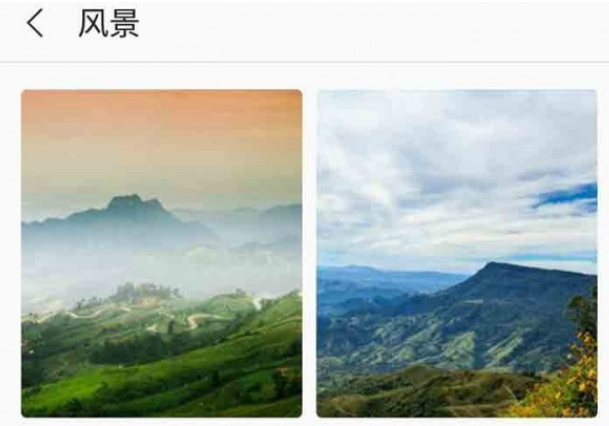 芒果壁纸