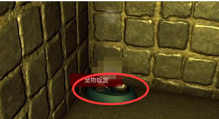 孙美琪疑案安慧花园宠物饭盒怎么获得