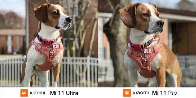 小米11Ultra和小米11Pro哪款拍照好
