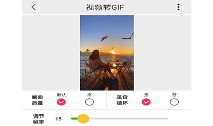 视频GIF