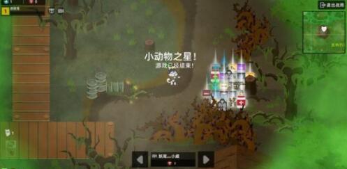 小动物之星哪些位置物资比较多
