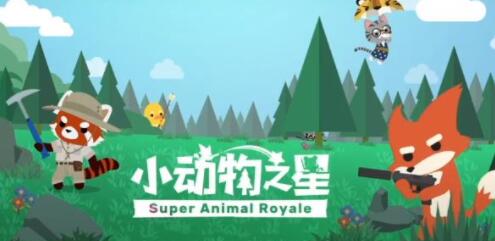 小动物之星哪些位置物资比较多